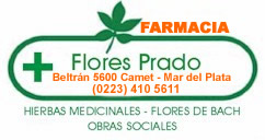 farmaciaflores.jpg (11650 bytes)